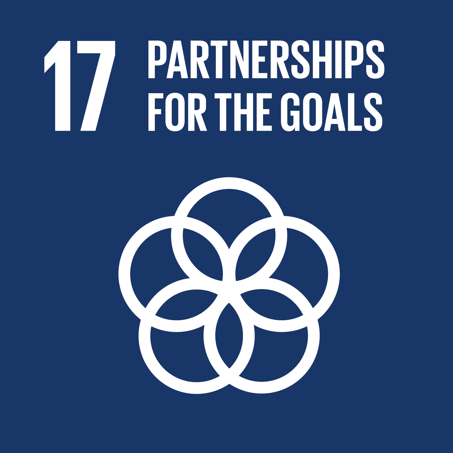 International Cooperation