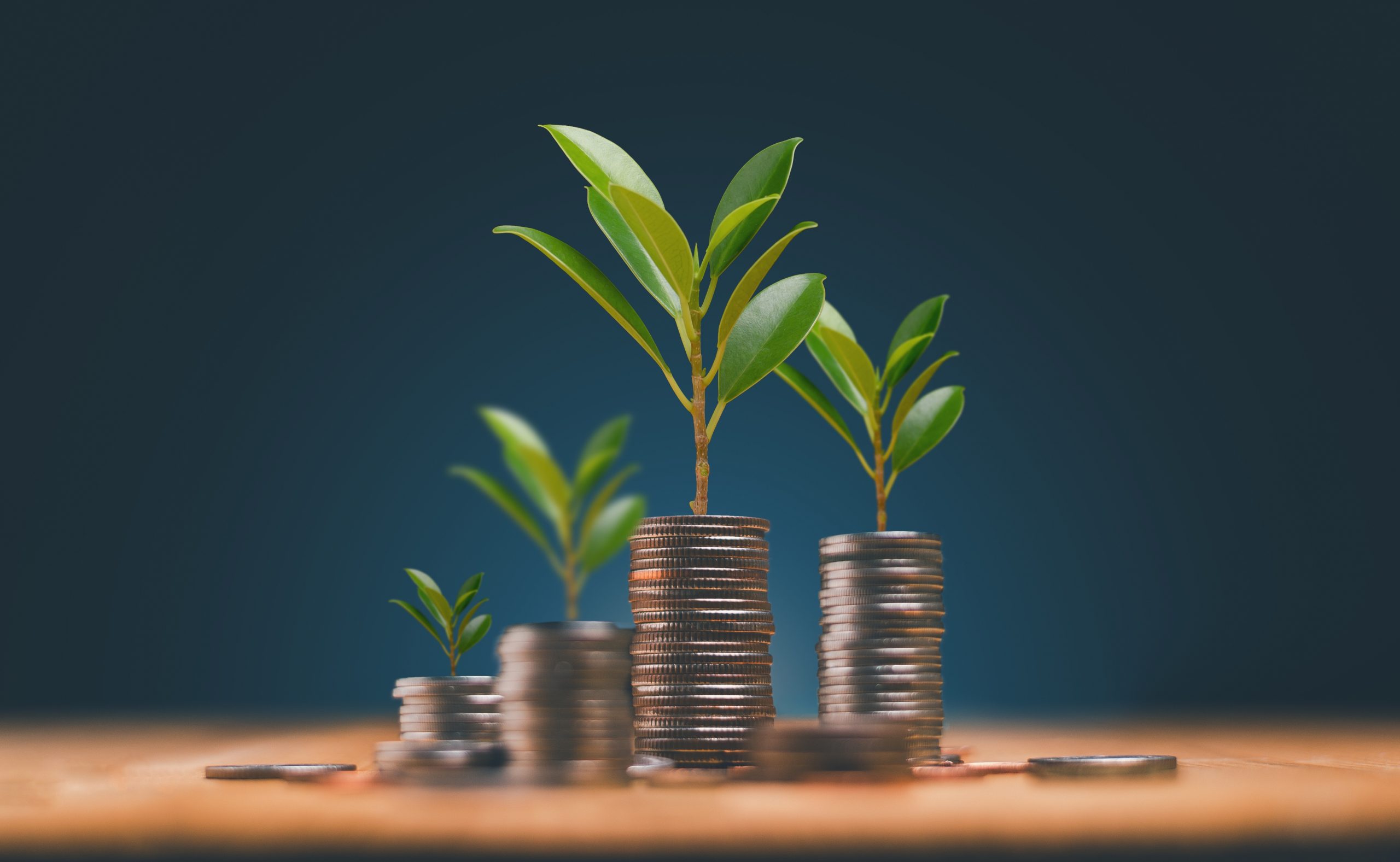 Financial Balance